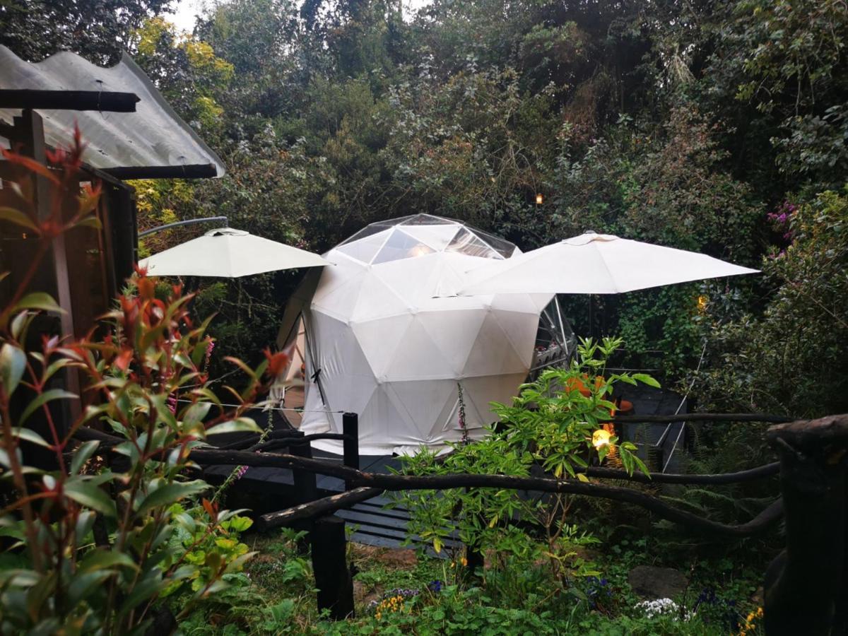 Luxury tent Fantasia Glamping Bogota